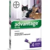 Advantage Gatti Peso Superiore A 4 Kg
