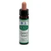 Ainsworths Recovery Remedy 10 ml