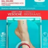 Compeed Cerotto Vesciche Formato Piccolo 6 Pezzi