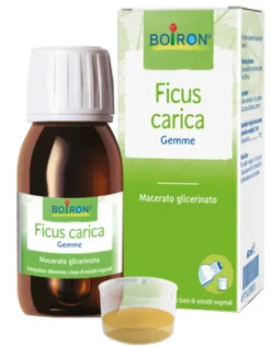 Ficus Carica Gemme Macerato Glicerico 60 ml