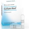 Galium Heel 10 Fiale 1,1 ml