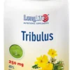 Longlife Tribulus Terrestris 90 capsule