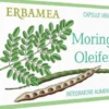 Moringa Oleifera 24 capsule