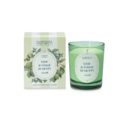 Nasoterapia Candela Profumata Lime e Foglie di Menta 180 g