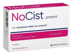 Nocist Prevent 24 Capsule
