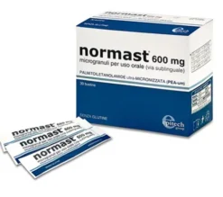 Normast 600 mg 30 Bustine Microgranuli