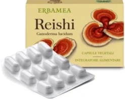 Reishi 24 capsule