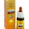 Resource Remedy 10 ml Guna