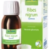 Ribes Nigrum Macerato Glicerico 60 ml