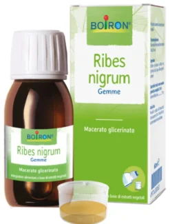 Ribes Nigrum Macerato Glicerico 60 ml