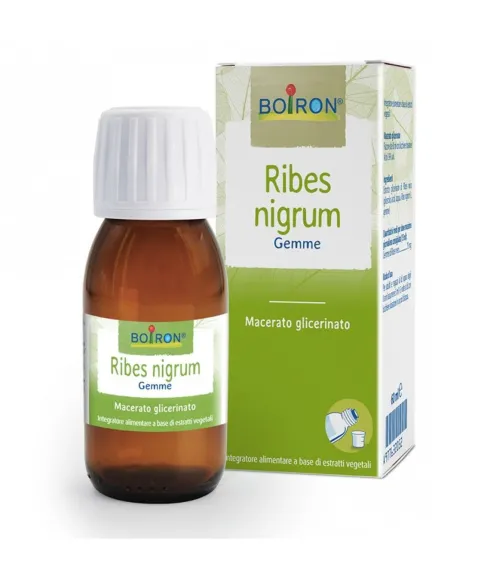 Ribes Nigrum Macerato Glicerico Boiron 60 ml