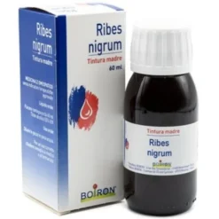 Ribes Nigrum Tintura Madre 60 ml