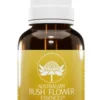 Transition Australian Bush Flower 30 ml